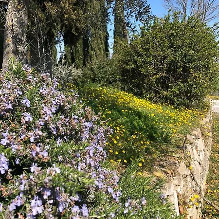 Hébergement de vacances Il Capanno Asciano