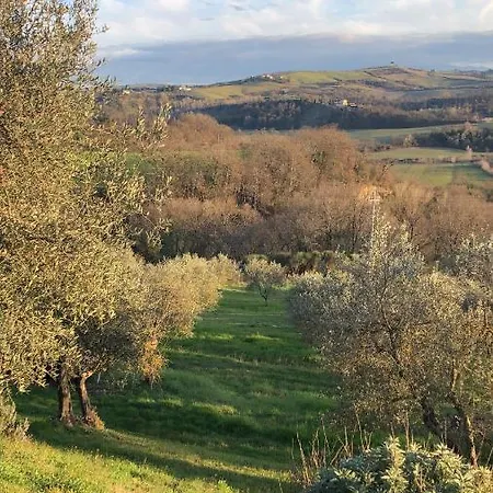 Il Capanno * Asciano