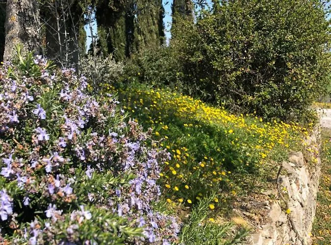 Ferienhaus Il Capanno Asciano