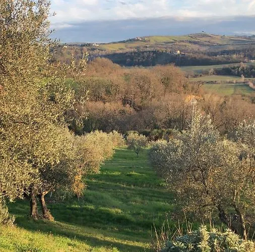 Il Capanno * Asciano